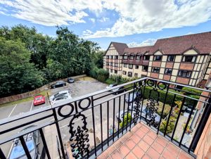 Photo 2- click for photo gallery